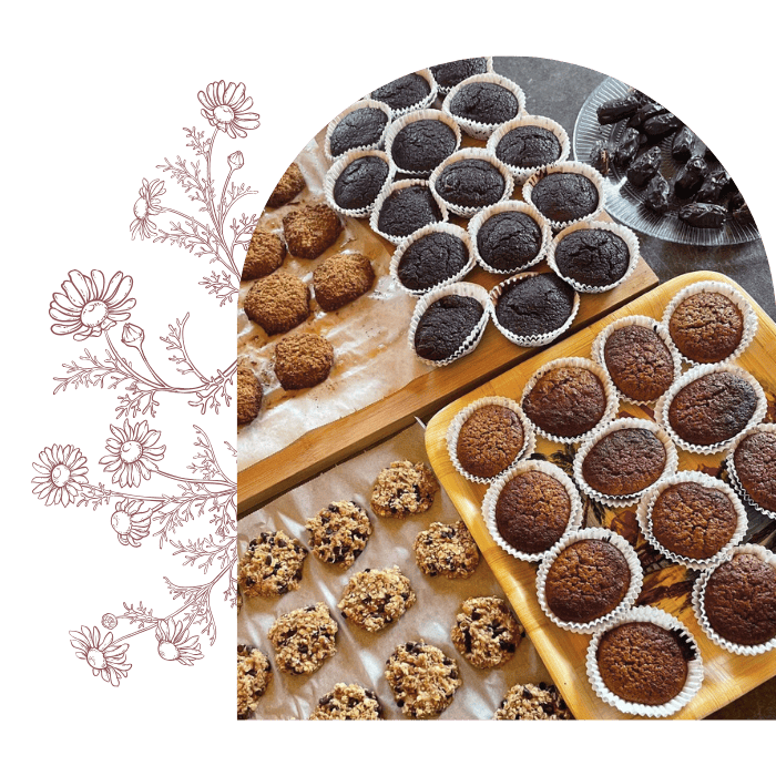 snack-post-partum-allaitement-toulouse-baziege-lauragais